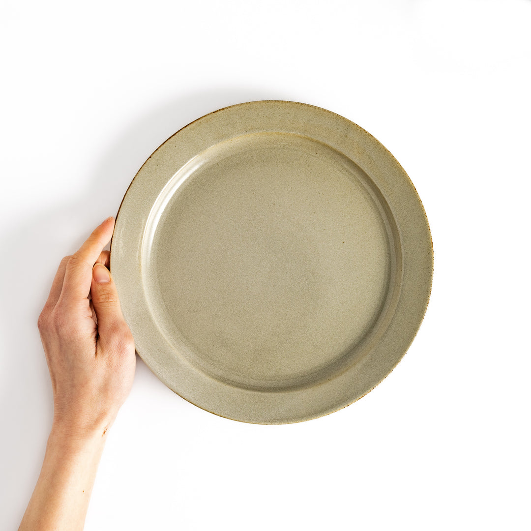 Hand holding a white ceramic dinner plate with a glossy finish, emphasizing its clean and classic look.