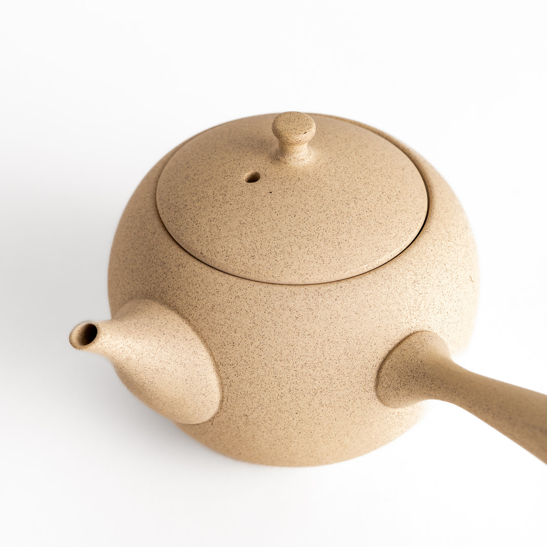 Close-up of the teapot's spout and side handle, emphasizing its fine craftsmanship and subtle texture.