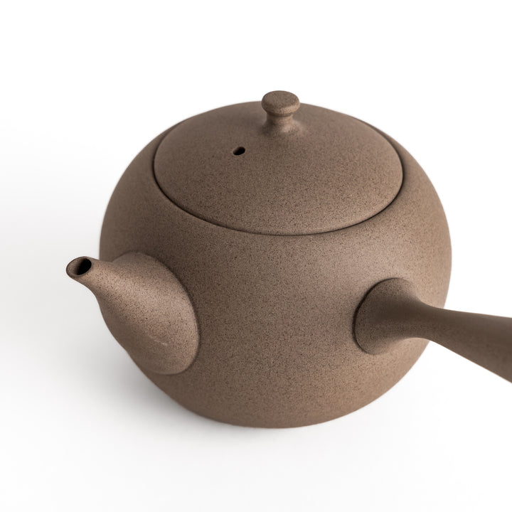 Close-up of the teapot's spout and side handle, emphasizing its fine craftsmanship and subtle texture.