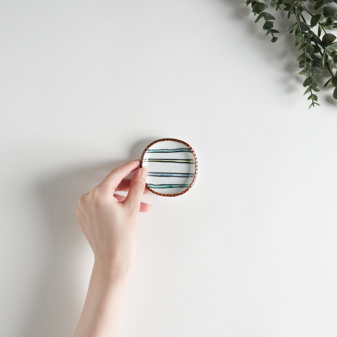 A hand holds a round plate featuring horizontal stripes in various colors, resting on a light surface with greenery.