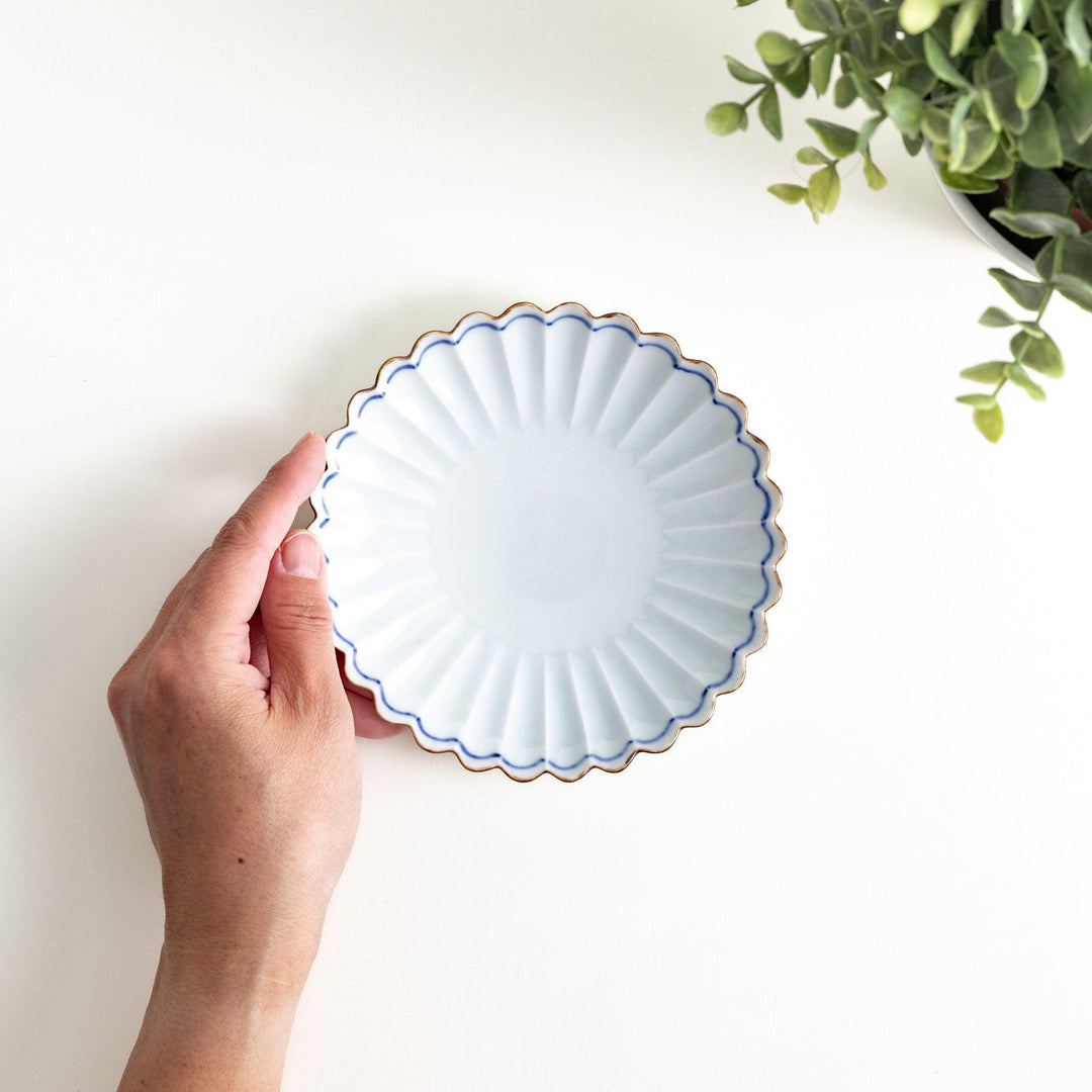 A small round plate with a scalloped edge and a delicate blue rim