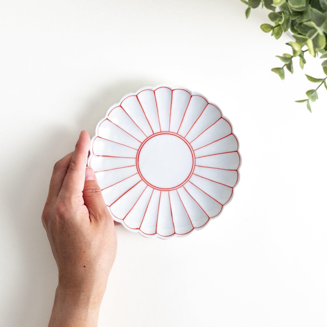 Chrysanthemum salad plates with a striped design, one in blue and the other in red.