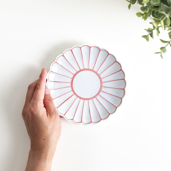 Chrysanthemum salad plates with a striped design, one in blue and the other in red.