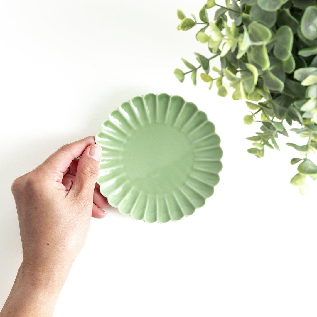 Small sauce dish in various colors (white, green, yellow) with scalloped edges.