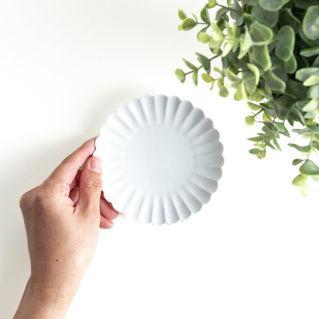 Small sauce dish in various colors (white, green, yellow) with scalloped edges.