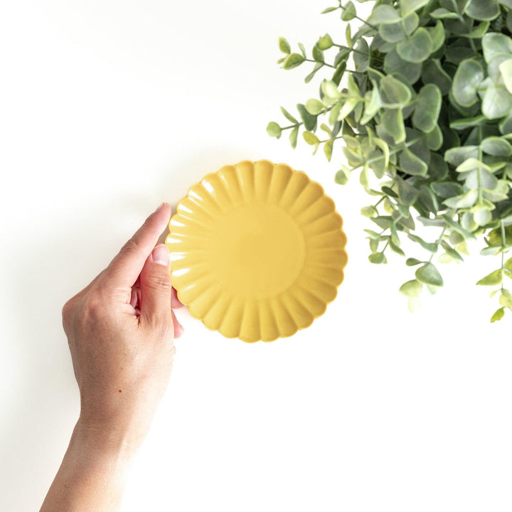 Small sauce dish in various colors (white, green, yellow) with scalloped edges.