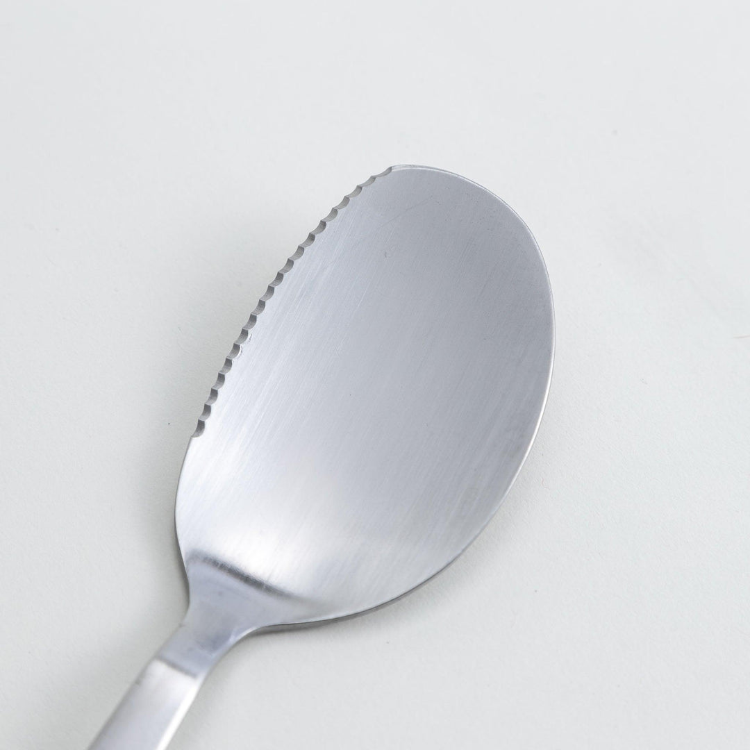 A stainless steel serving spoon with a smooth, polished finish and a slight serrated edge, ideal for cutting and serving.