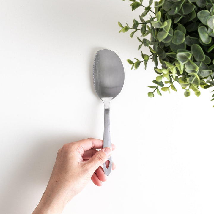 A stainless steel serving spoon with a smooth, polished finish and a slight serrated edge, ideal for cutting and serving.