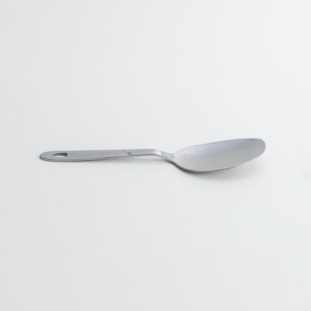 A stainless steel serving spoon with a smooth, polished finish and a slight serrated edge, ideal for cutting and serving.