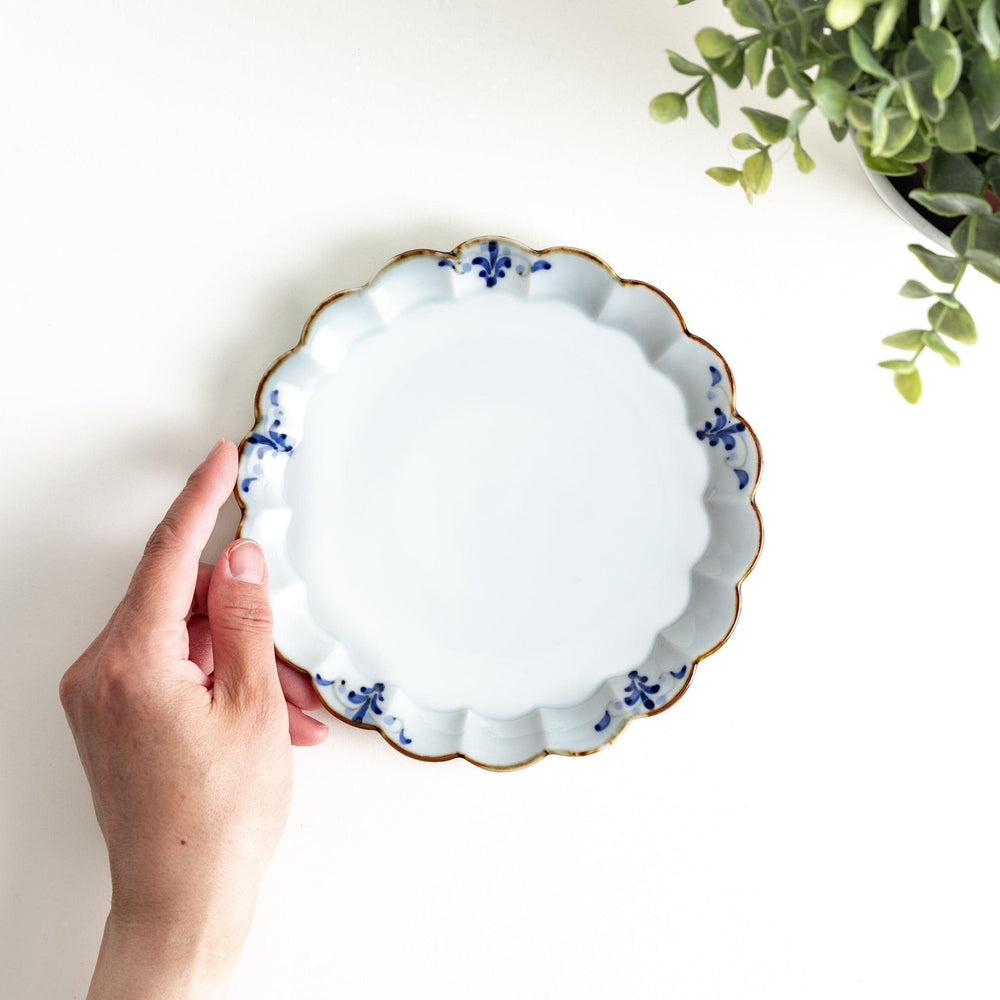 Round white porcelain dessert plate with scalloped edges, adorned with a simple blue floral pattern and brown accent trim.