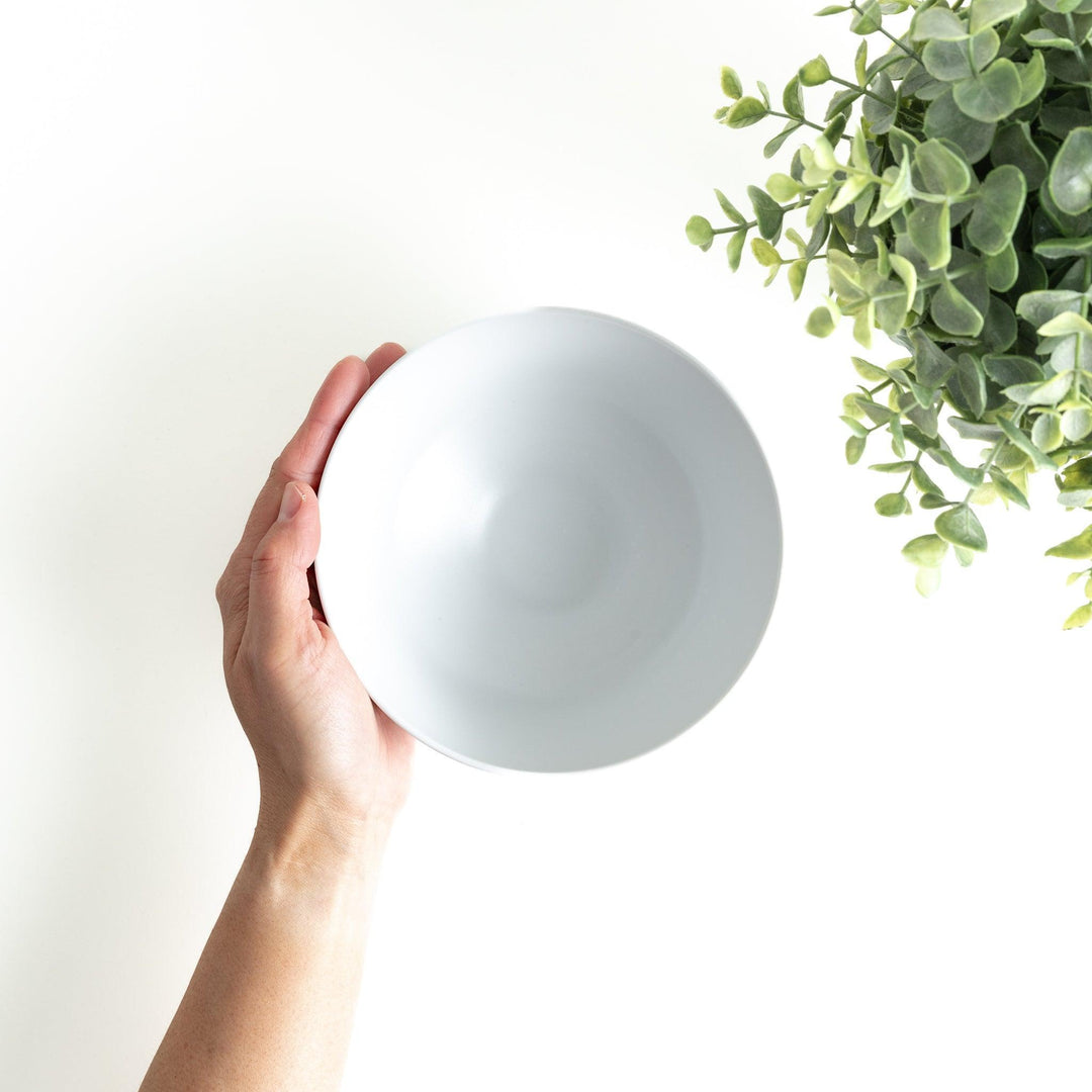 Medium-sized white donburi bowl with thin horizontal blue or red stripes and a dark base.