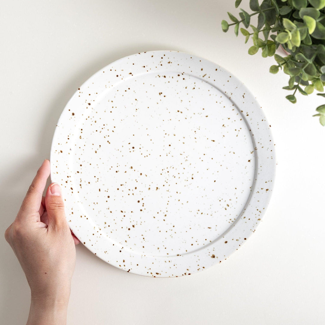 Round ceramic dinner plates, one in dark gray and the other in speckled white.