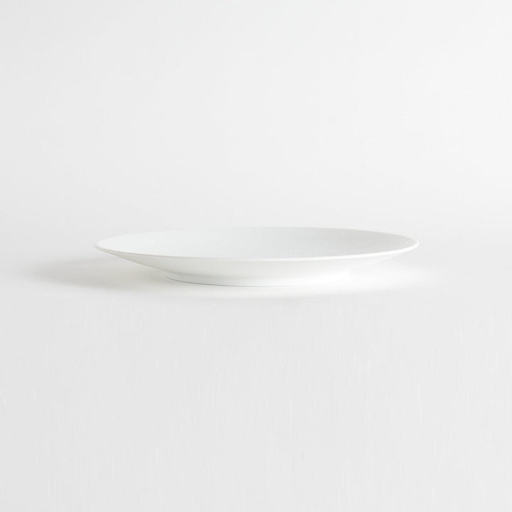 A large, round dinner plate with a soft, speckled white finish.