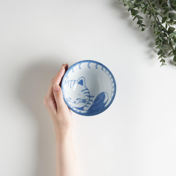 A rice bowl with a blue-striped white cat, curled up and smiling.