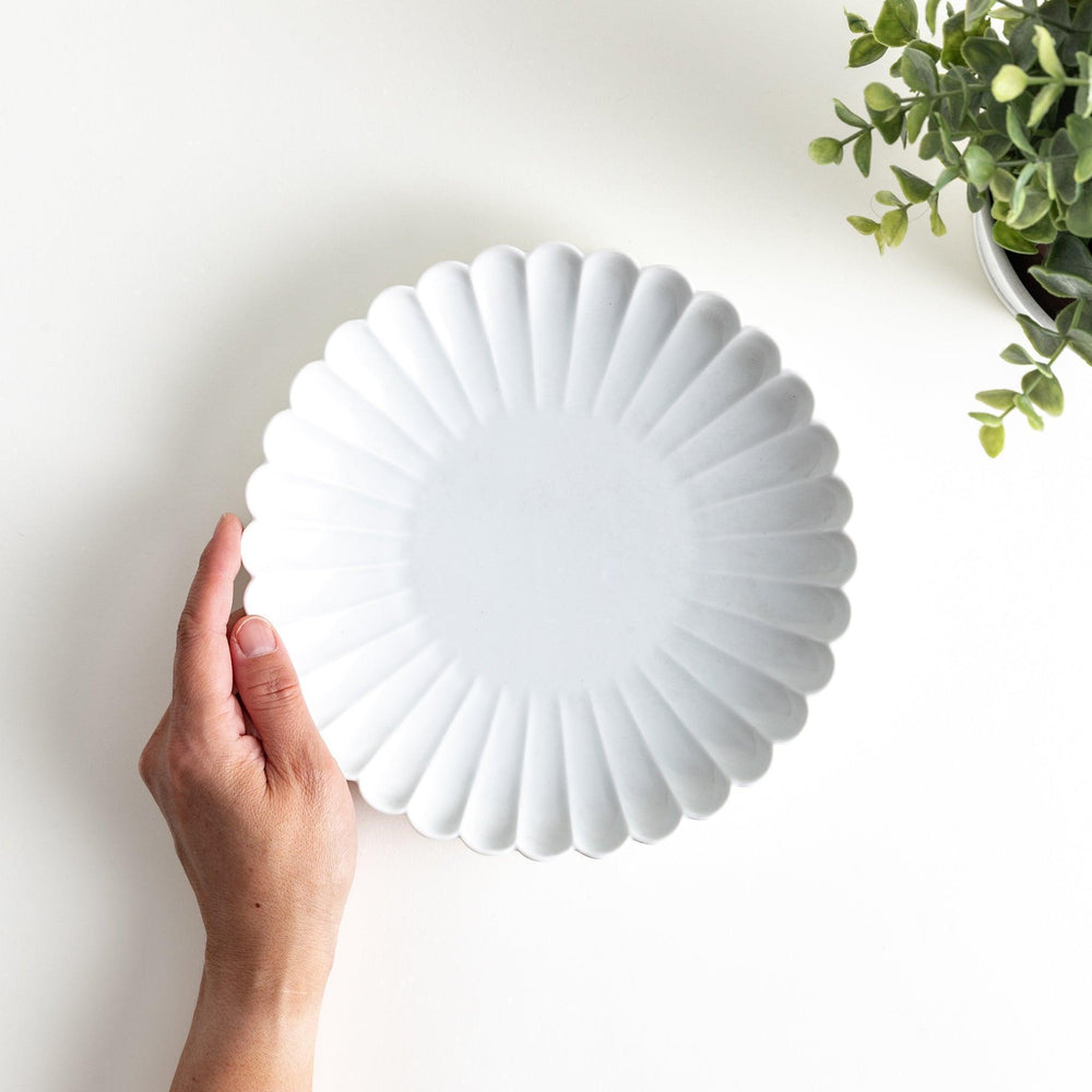 A white porcelain plate with a fluted design, resembling a flower in full bloom.