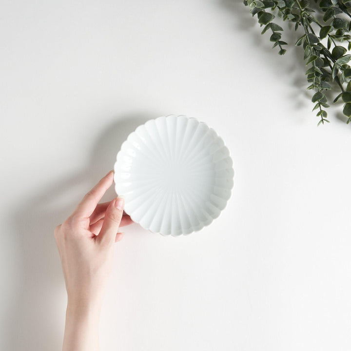 A simple white ceramic plate with a scalloped edge and a clean, minimalist design.